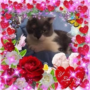 Meet your Posher, Françoise